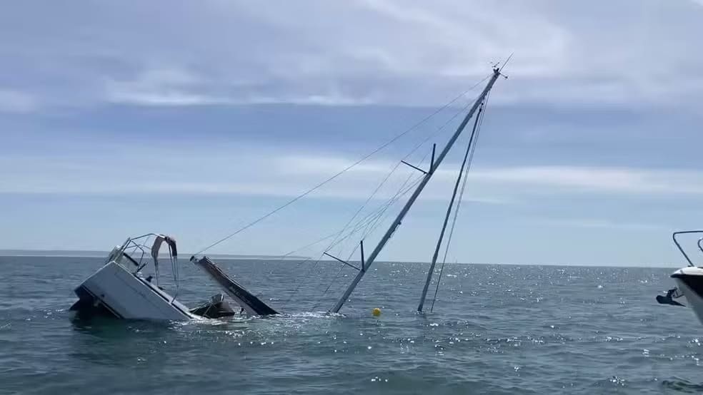 Ataques de orcas a embarcações voltam a crescer na costa de Portugal